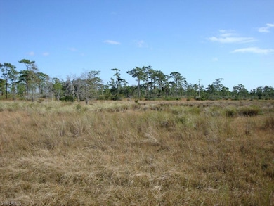 View of local wilderness Association Photos