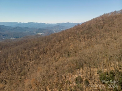 00 Buff Creek Rd, Sylva, NC 28779 - photo 7