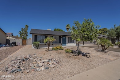 Front Yard