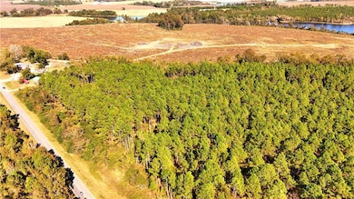 Drone / aerial view of a nearby body of water