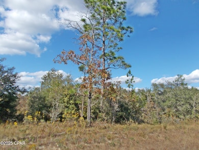 00 County Road 167, Fountain, FL 32438 - photo 6