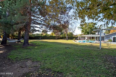 Expansive Backyard
