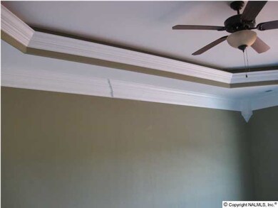 Master Bedroom with crown moulding, trey ceiling & rope lighting!