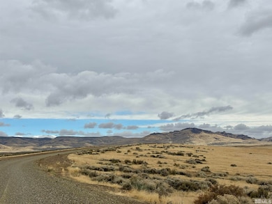 03074117 Mcdermitt, McDermitt, NV 89421 - photo 4