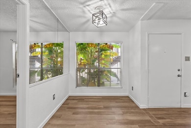 Beautiful natural lighting for those meals