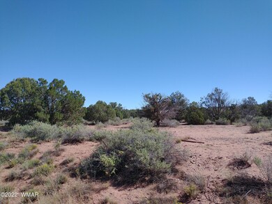 4253 Indian Bend Rd, Snowflake, AZ 85937 - photo 6