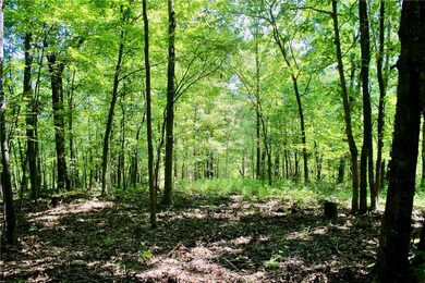 0 Pummill Rd, Fayetteville, AR 72701 - photo 6