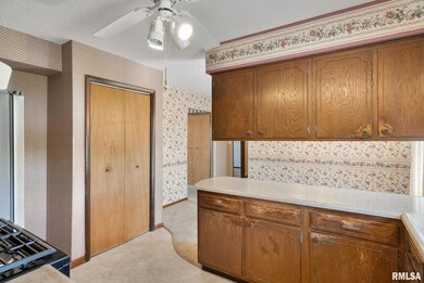 656 W 51st St, Davenport, IA 52806 - photo 5