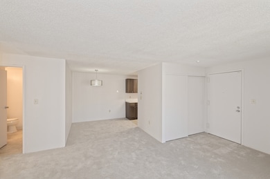 3 Post Oak Ln unit 9, Natick, MA 01760 - photo 4