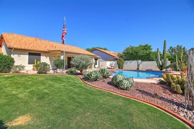 Some grass in the backyard