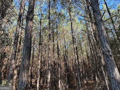 012 Mount Zion Rd, Gordon, AL 36343 - photo 3