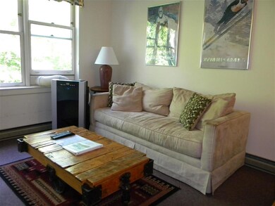 28 Packard Rd unit 332, Waterville Valley, NH 03215 - photo 3