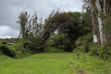 0 Hulu St, Mountain View, HI 96771 - photo 2