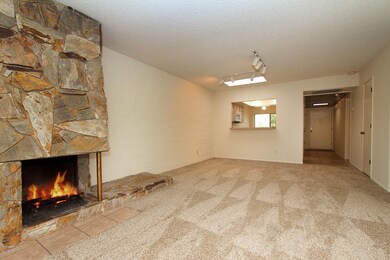 Stone Fireplace