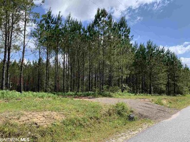 31810 Happy Hollow Rd, Robertsdale, AL 36567 - photo 6