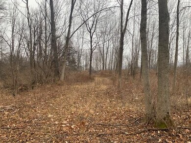 00 Matteson Rd, North Bennington, VT 05257 - photo 4