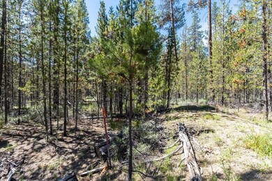 2022_07_11_lot_1300_dustin_rd_la_pine-5