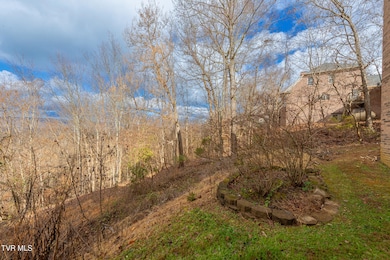 512 Wood View Ct, Kingsport, TN 37664 - photo 7
