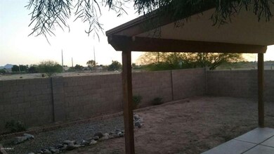 CITRUS GROVE BACKYARD