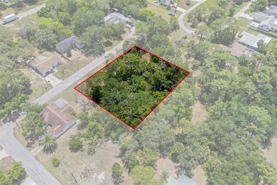 .47 Acre Parcel to Build Your Dream Home