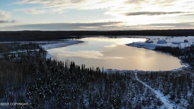 3872 Pond Lily Ln, Big Lake, AK 99652 - photo 7