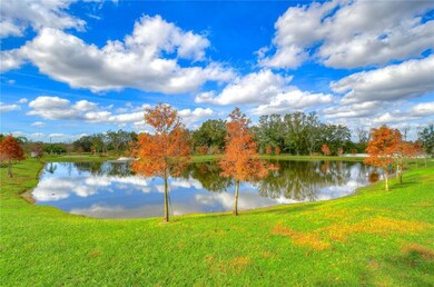 Back yard water view