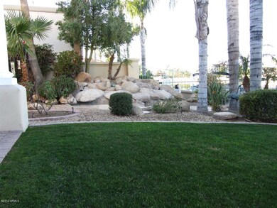 Back Yard - West