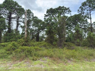 View of local wilderness