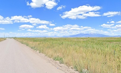 Blanca, Lasauses, CO 81151 - photo 3