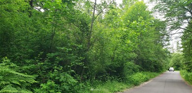 272 XX 96th Ave E, Graham, WA 98338 - photo 5