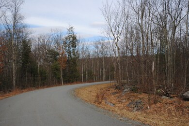 117 Blue Heron Way, Hawley, PA 18428 - photo 6