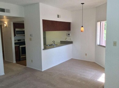 Kitchen - Dinning