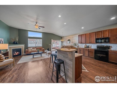 2321 Nicholson St, Berthoud, CO 80513 - photo 4