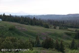 Views of the Backcountry