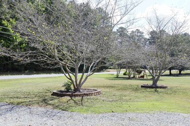 545 Old Graham Rd, Pittsboro, NC 27312 - photo 3