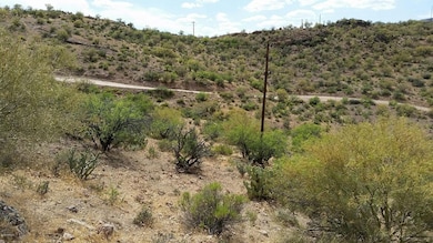 20150523_145231_resized_1