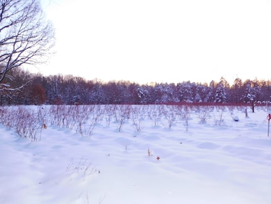 80380 42nd St, Decatur, MI 49045 - photo 6