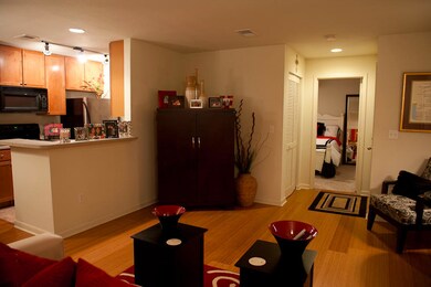 Trivette condo-4