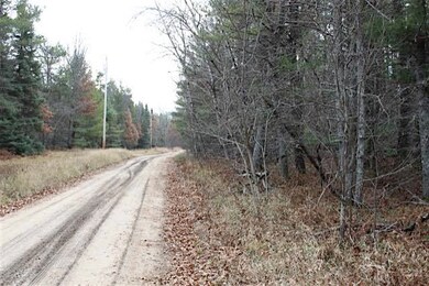 0 Kelm Way unit 314191, Grayling, MI 49738 - photo 3