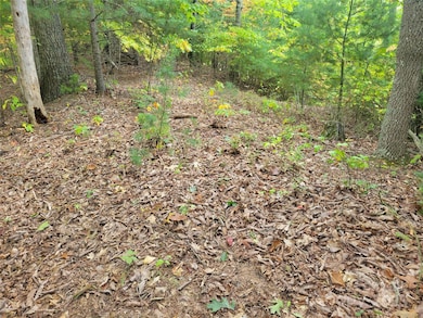 0 Pinewood Dr unit 5, Waynesville, NC 28786 - photo 4