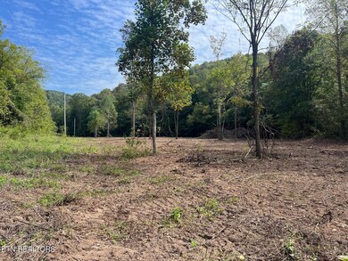 0 unit 1305295, Jamestown, TN 38556 - photo 2