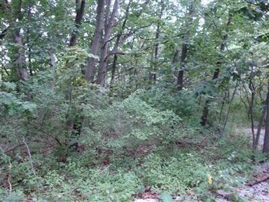 12210 Lee St, Crown Point, IN 46307 - photo 5