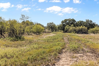 Berry Dairy Rd, Bryson, TX 76427 - photo 2