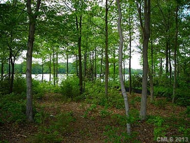 Land - Several lovely hardwood trees on the proper