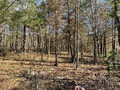 TBD Holcombe Ln, Bella Vista, AR 72714 - photo 2