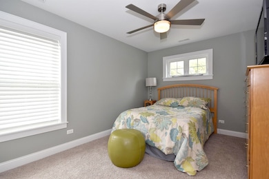 198 E Fremont Ave, Elmhurst, IL 60126 - photo 4