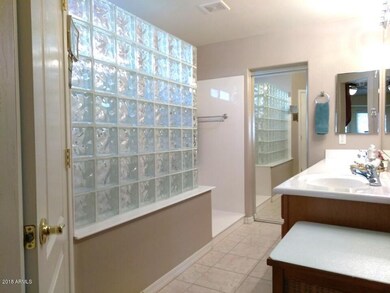 Master Bath Snail Shower
