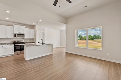 1208 Crested Iris St, Moore, SC 29369 - photo 4