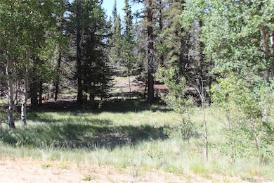 102 Kiwi Ct, Jefferson, CO 80456 - photo 3