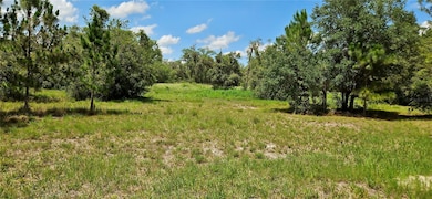 0 Mammoth Grove Rd unit MFRP4935027, Lake Wales, FL 33898 - photo 3